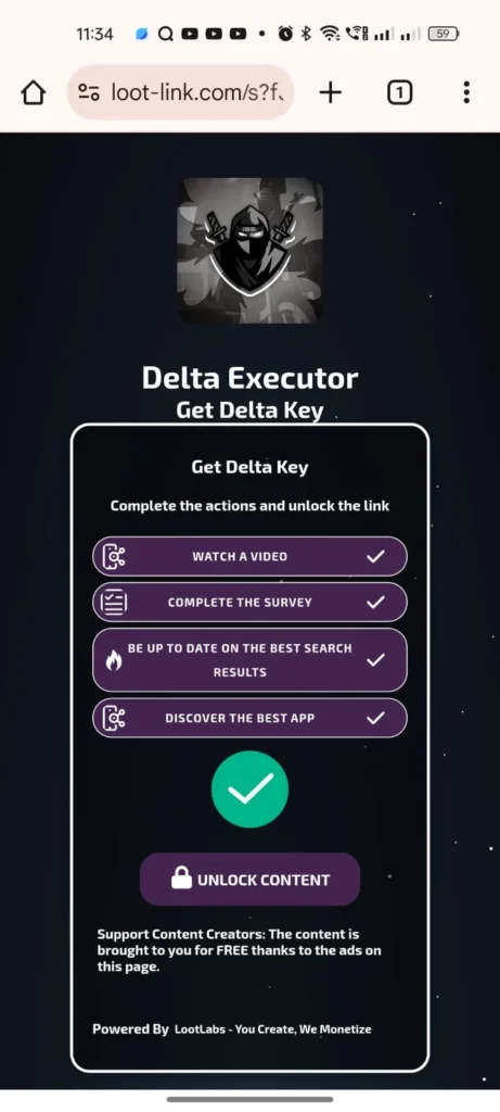 Launch the Roblox Executor